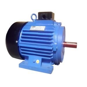 THREE PHASE ELECTRIC MOTOR