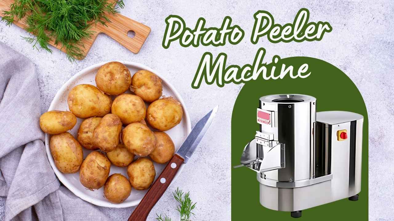 Potato Peeler Machine Manufacturer in Ahmedabad